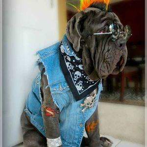 Meet your Posher, Moises